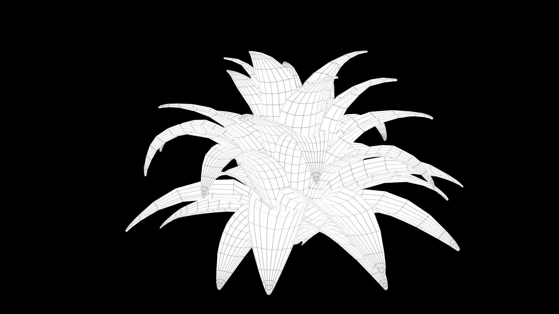 3D Stylized Echeveria Succulent Plant model https://p.turbosquid.com/ts-thumb/mk/VgRtJ9/WA/render_wire/jpg/1780914971/1920x1080/fit_q87/c78450151c69770ad1269479d6e6b66dc73b0032/render_wire.jpg