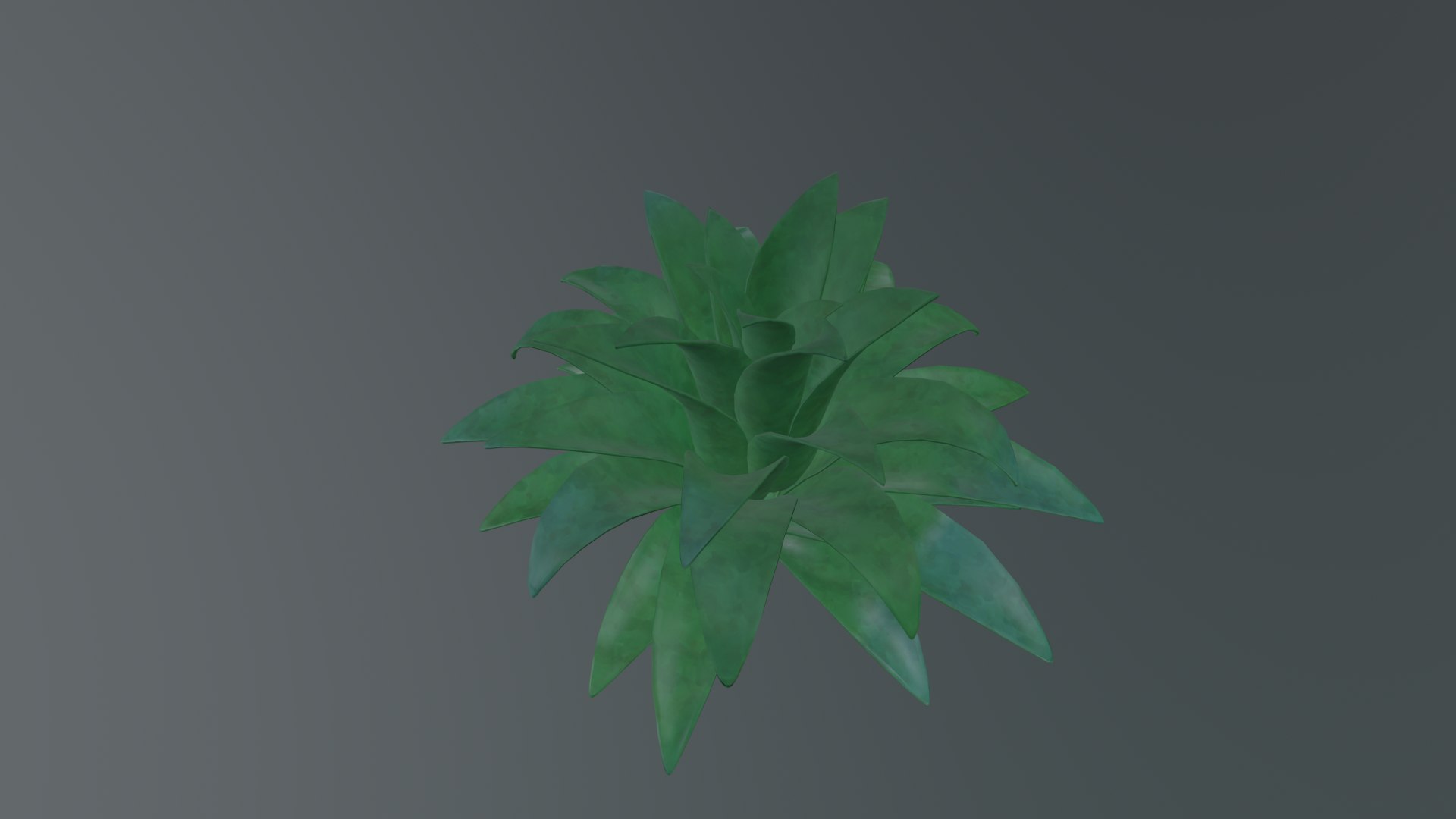 3D Stylized Echeveria Succulent Plant model https://p.turbosquid.com/ts-thumb/mk/VgRtJ9/et/render_05/png/1780914971/1920x1080/fit_q87/871aecd4aeb3dc77c011e4b7daf0db7c29a7c6c8/render_05.jpg