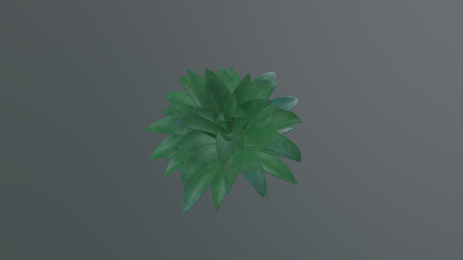 3D Stylized Echeveria Succulent Plant model https://p.turbosquid.com/ts-thumb/mk/VgRtJ9/xh/render_03/png/1780914969/1920x1080/fit_q87/742fcfc8aa8b9a05b481e21e46b293e58884e487/render_03.jpg