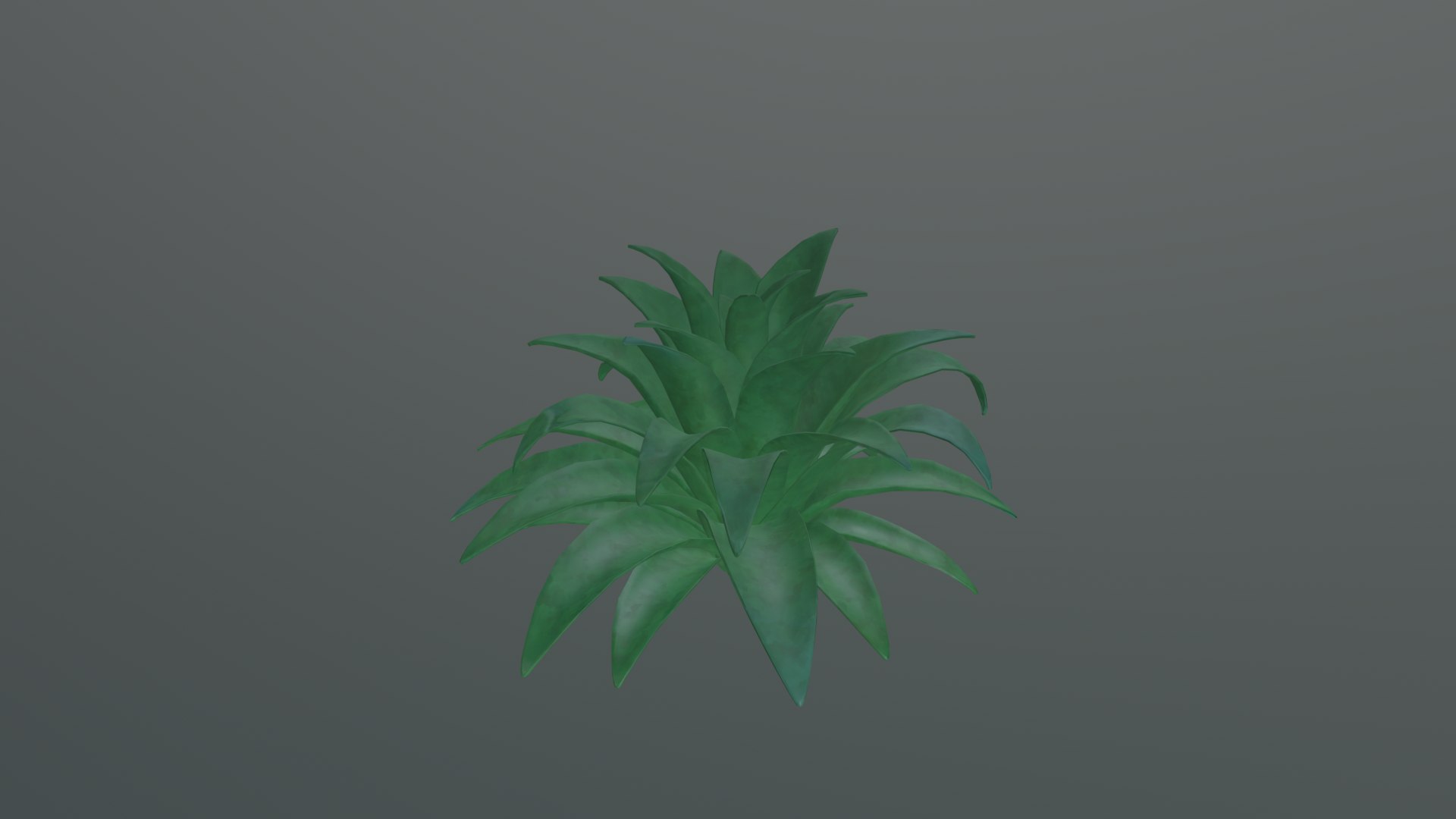3D Stylized Echeveria Succulent Plant model https://p.turbosquid.com/ts-thumb/mk/VgRtJ9/zD/render_04/png/1780914970/1920x1080/fit_q87/bdd62c0f8ef333d72bc2658c7b27693f94bb81d6/render_04.jpg