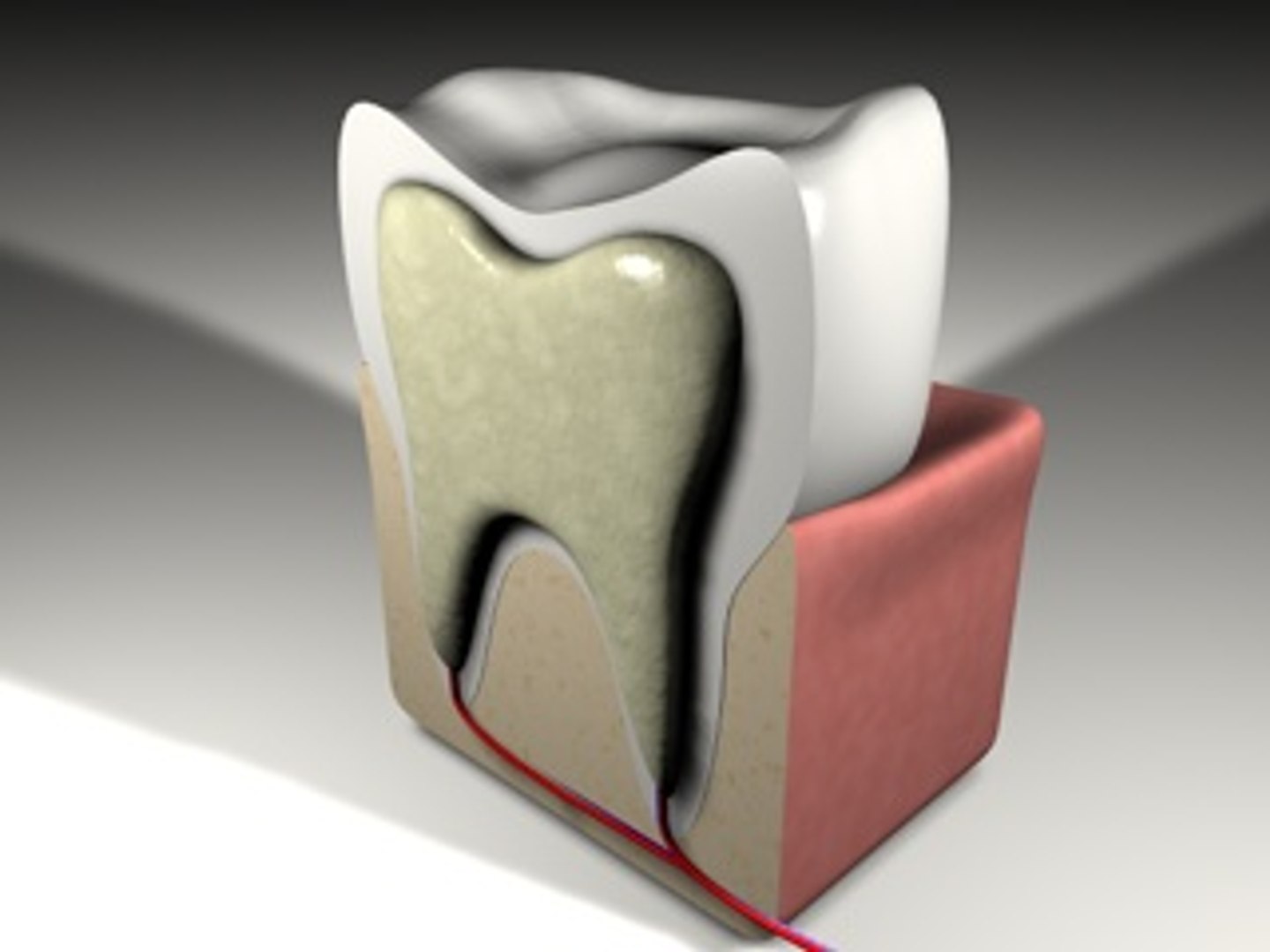 Scientific Tooth 3d C4d
