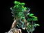 Pandora Jungle Animated Pack