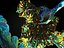 Pandora Jungle Animated Pack