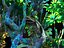 Pandora Jungle Animated Pack