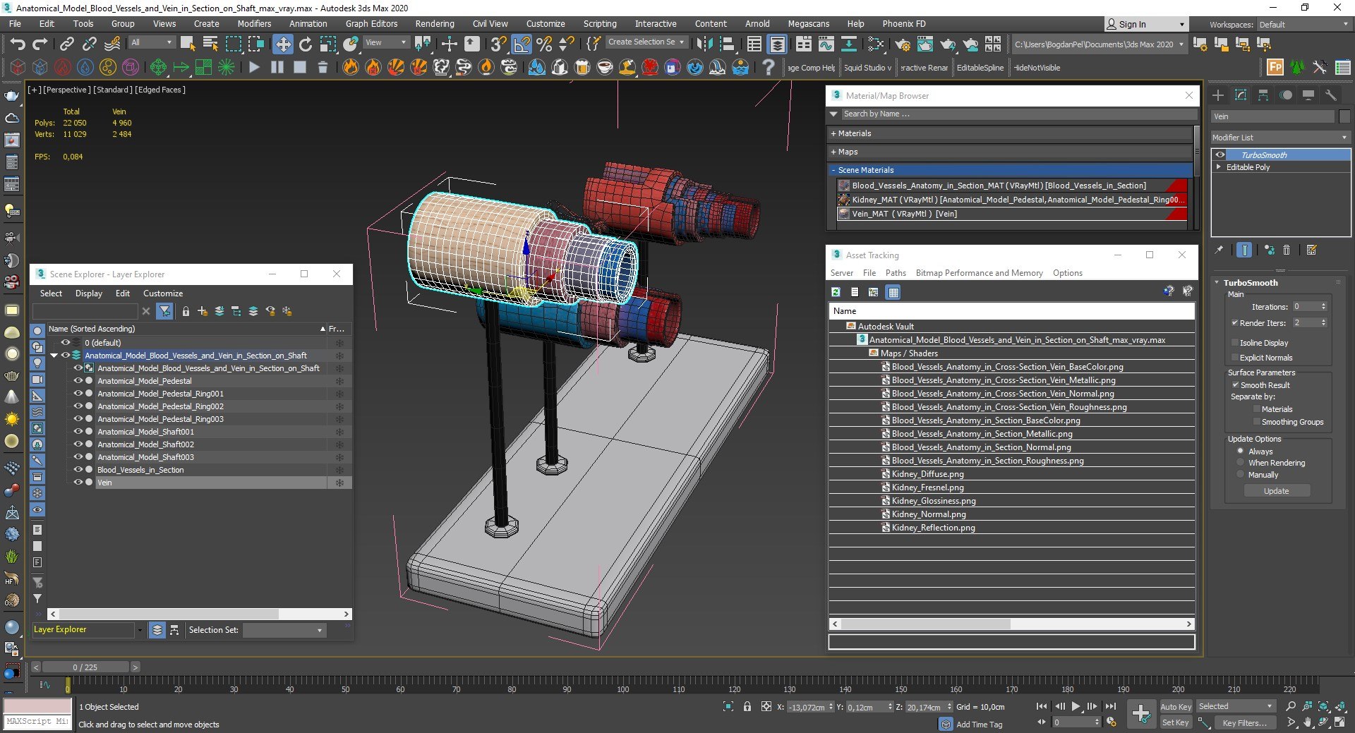 Anatomical Model Blood Vessels and Vein in Section on Shaft 3D https://p.turbosquid.com/ts-thumb/mk/bPLzMU/dj/anatomical_model_blood_vessels_and_vein_in_section_on_shaft_015/jpg/1744268647/1920x1080/fit_q87/ccb2b915dd6ae10c0426e8a0a607456d9806d286/anatomical_model_blood_vessels_and_vein_in_section_on_shaft_015.jpg