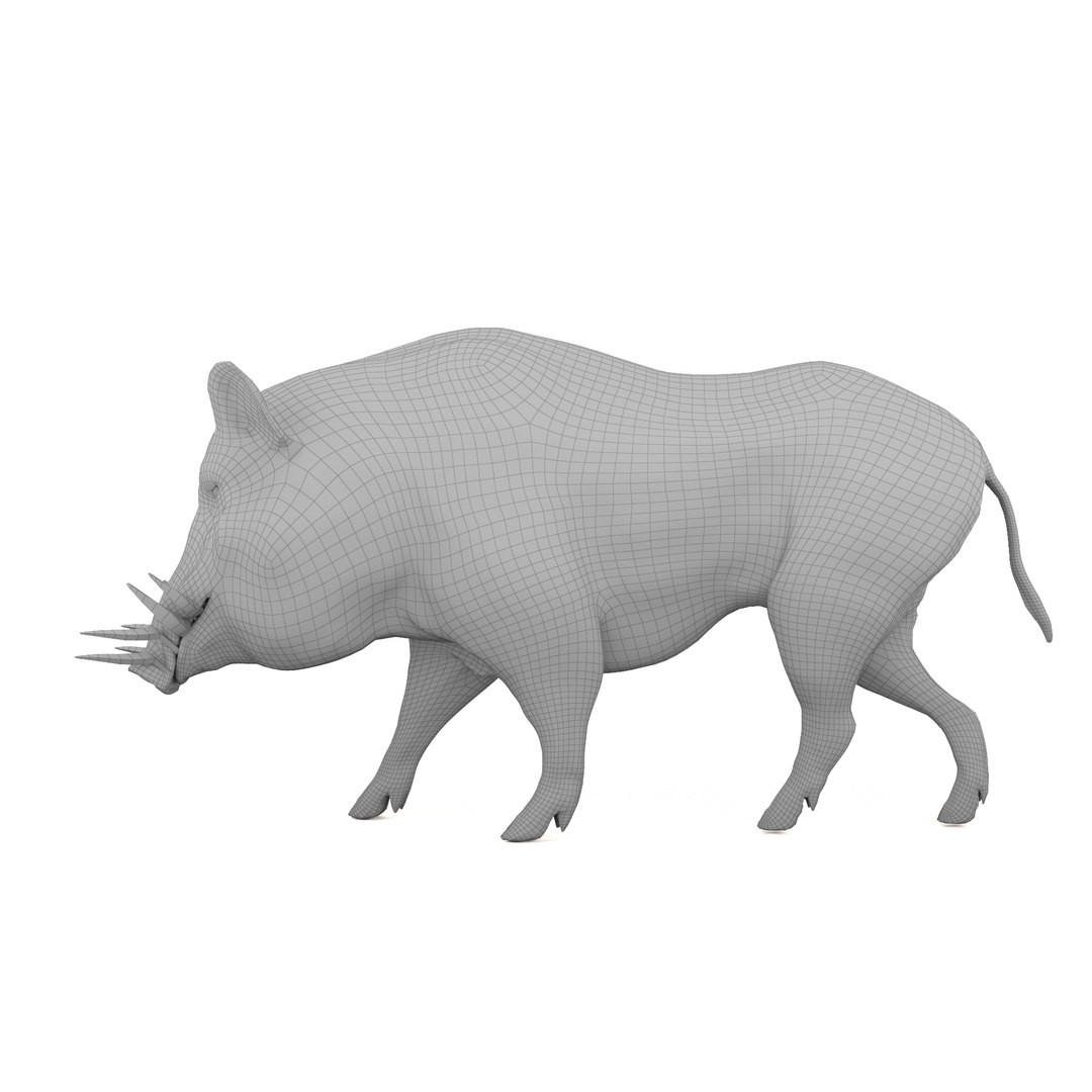 Fabric Wild Boar 3D model - TurboSquid 1904343
