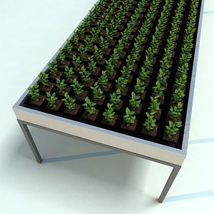 seedling table 3d model