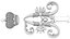 Monogram of Emperor Alexander I