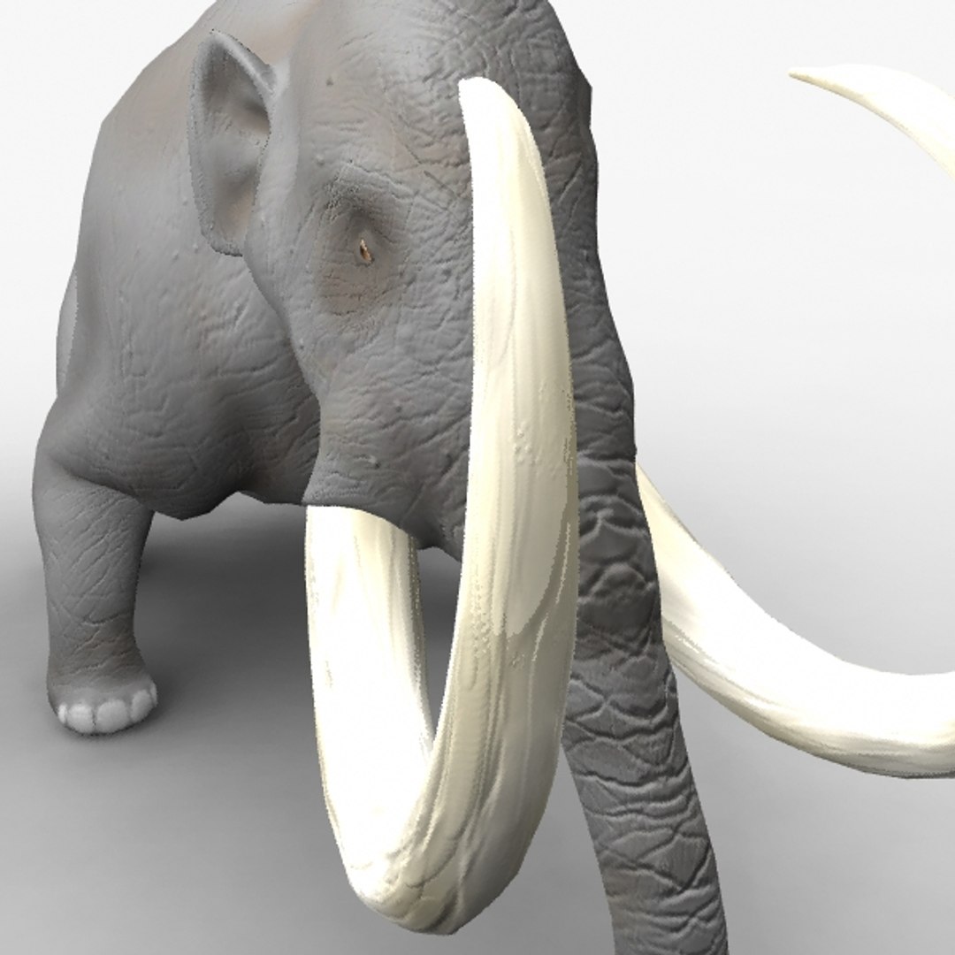 Rigged Mammoth Elephant Ma