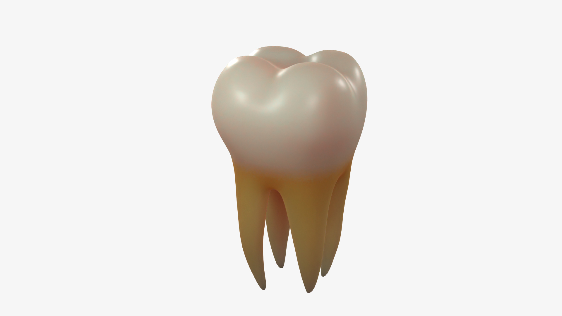 3D model Enamel molar tooth https://p.turbosquid.com/ts-thumb/ml/7z10si/4q/wa/png/1640342321/1920x1080/turn_fit_q99/ab2afc0d3634280b84f83b3f07c74ef4890f1700/wa-1.jpg