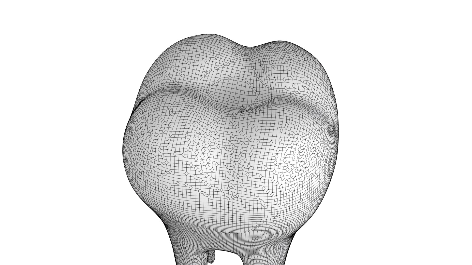3D model Enamel molar tooth https://p.turbosquid.com/ts-thumb/ml/7z10si/6j/08/png/1640356222/1920x1080/fit_q87/a55fd4c4cabaad6400a33f93e0d5ed9caeee695c/08.jpg