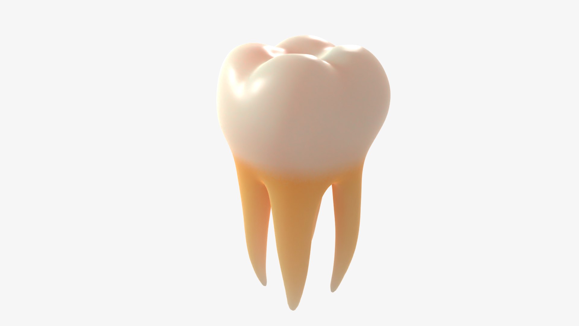 3D model Enamel molar tooth https://p.turbosquid.com/ts-thumb/ml/7z10si/Vy/02/png/1640354502/1920x1080/fit_q87/7ab5071be4f3f9f78515fe07ed00710a63cebbff/02.jpg