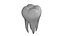 Dente molar de esmalte
