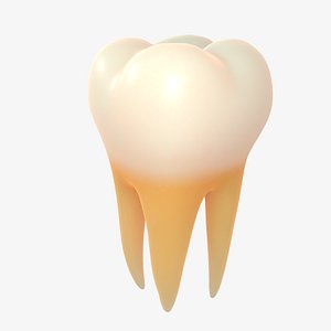3D model Enamel molar tooth
