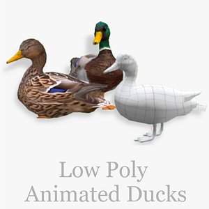3D model Low poly Animated Mallard Ducks