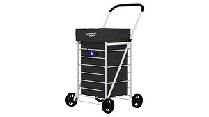 3D Potential Shopping Trolley Bag model