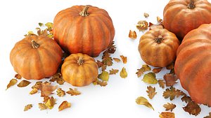 Set of pumpkins with leaves