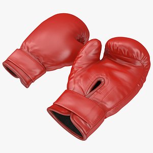 Boxing Gloves