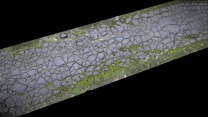 asphalt cracked old mossy road postapo part4 Photogrammetry
