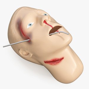 injured firstaid mannequin head 3D model