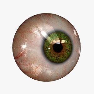 realistic human eye 20 3d max