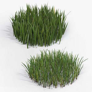 3D Grass Cluster Collection 001 - 2 Cluster Types