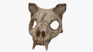 Cat Skull Mask 3D