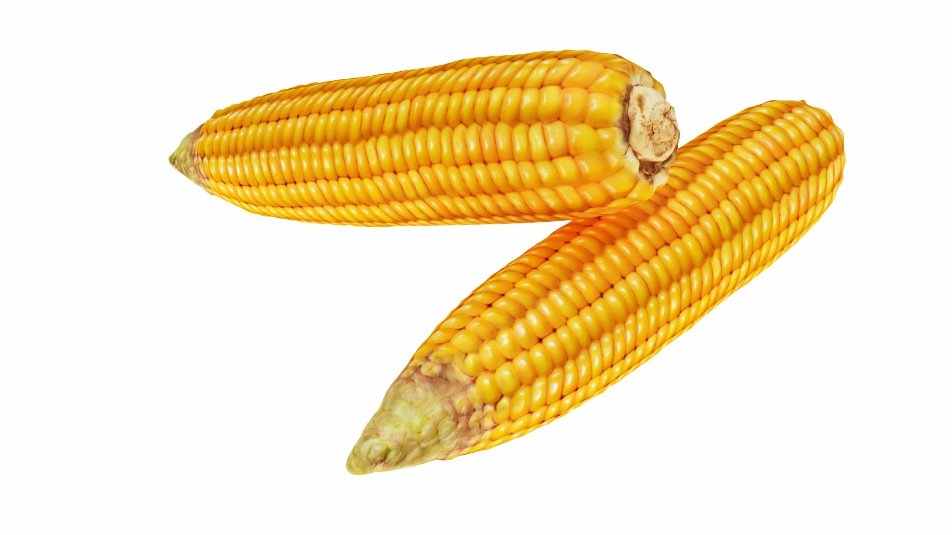 Corn Maize Vegetable 3D Model - TurboSquid 1551324