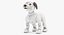 Анимированная 3D Sony Aibo с костью