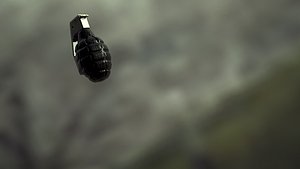bombe grenade 3d model