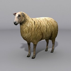 sheep 3d max