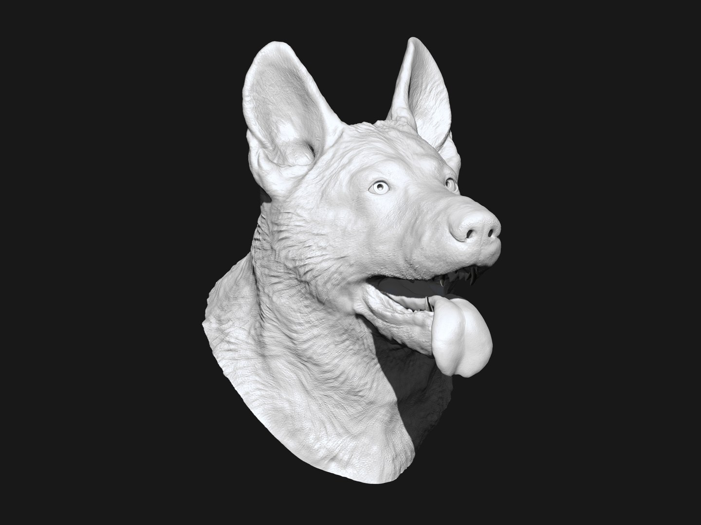 3D german shepard https://p.turbosquid.com/ts-thumb/mm/aVbhgg/1KS527oG/render_ao/jpg/1571800683/1920x1080/fit_q87/67f9f6bf08f100157452f0695ae664c56ce8e7a7/render_ao.jpg