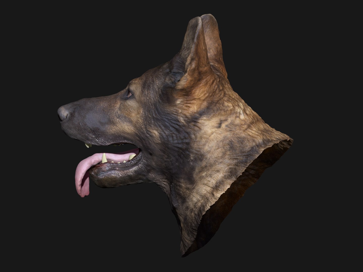 3D german shepard https://p.turbosquid.com/ts-thumb/mm/aVbhgg/LGIXxlsp/wireframe05/jpg/1571800671/1920x1080/fit_q87/aa031844e9266e528e6e608f4dfc76227611b97e/wireframe05.jpg