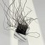 Square vase