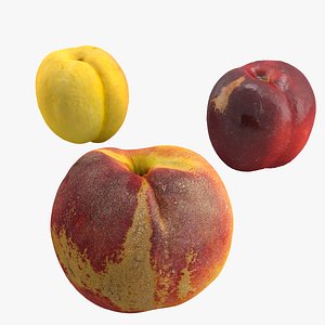 realistic fruits 3d max