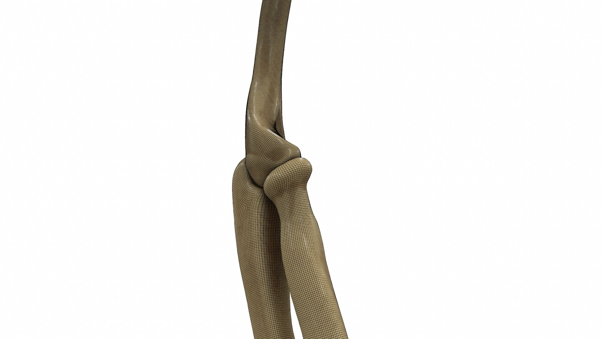 complete hand skeletal model https://p.turbosquid.com/ts-thumb/mm/msW2td/dCtRk0IE/screenshot026/png/1551687842/1920x1080/fit_q87/1cb186648701b150aaeea723f1ee5a7b8beee9ef/screenshot026.jpg
