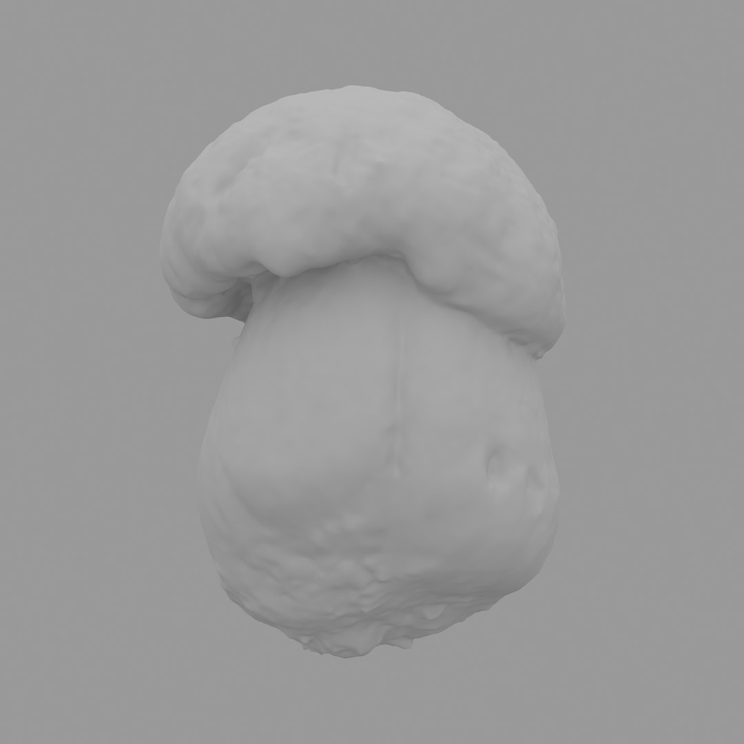 3D scan https://p.turbosquid.com/ts-thumb/mm/rRcrJY/2aurJTrG/w03/jpg/1504683342/1920x1080/fit_q87/8ed353c59e687e636ae9af8e66ab710c81b0ce07/w03.jpg