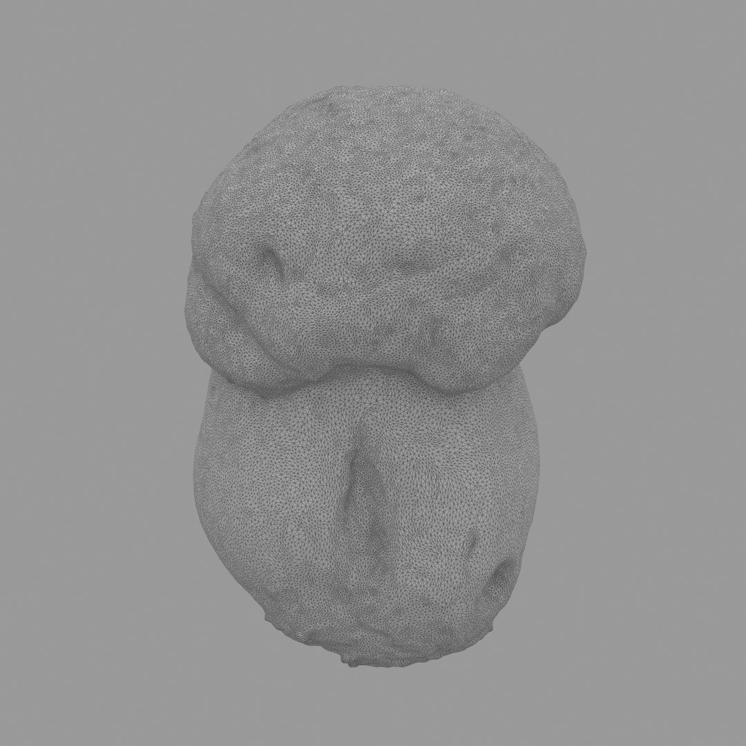 3D scan https://p.turbosquid.com/ts-thumb/mm/rRcrJY/HeG9WQXM/w05/jpg/1504683342/1920x1080/fit_q87/7001146ecfc30fdf606a8817f356fb5b45e12f48/w05.jpg