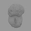 Mushroom 26