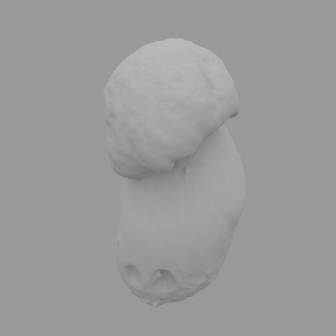 3D scan https://p.turbosquid.com/ts-thumb/mm/rRcrJY/Hjs0QrXM/w02/jpg/1504683342/1920x1080/fit_q87/e94a9d58edfe4921630506db4566f764d94a0005/w02.jpg