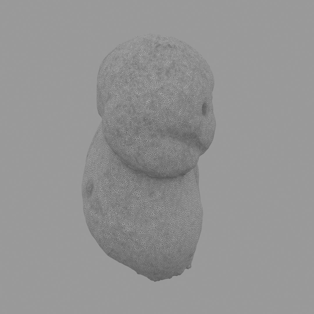 3D scan https://p.turbosquid.com/ts-thumb/mm/rRcrJY/KhEzFJzv/w08/jpg/1504683342/1920x1080/fit_q87/43f2e567d24b34ae7f8d604366635594fbeba949/w08.jpg