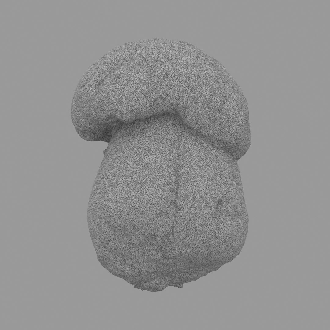 3D scan https://p.turbosquid.com/ts-thumb/mm/rRcrJY/MOiVUUWF/w07/jpg/1504683342/1920x1080/fit_q87/95b142c77df2d61633d48b225e89b608679e2f50/w07.jpg