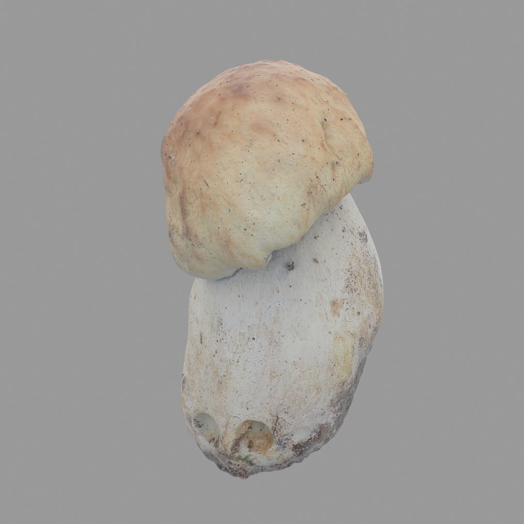 3D scan https://p.turbosquid.com/ts-thumb/mm/rRcrJY/P9g9UVB2/02/jpg/1504683342/1920x1080/fit_q87/cc8abbcf82933d5df8710073bc12e2111da24742/02.jpg