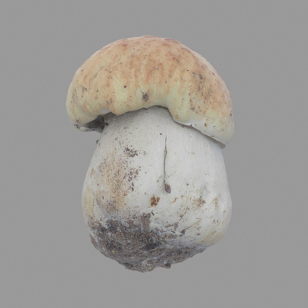 3D scan https://p.turbosquid.com/ts-thumb/mm/rRcrJY/eodG8qAR/03/jpg/1504683342/1920x1080/fit_q87/3a77eeb6d78d742cc9643aeee978026fe53d9fa7/03.jpg