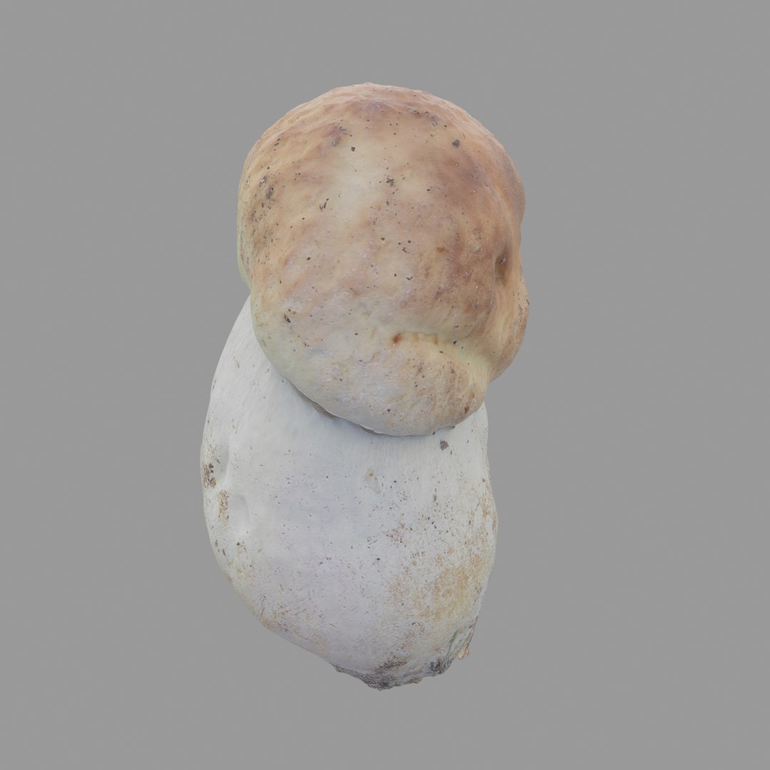 3D scan https://p.turbosquid.com/ts-thumb/mm/rRcrJY/fmXQMVeM/04/jpg/1504683342/1920x1080/fit_q87/a47d6e31cc75e9da4c3e5774a42e8a2b49b13ee8/04.jpg