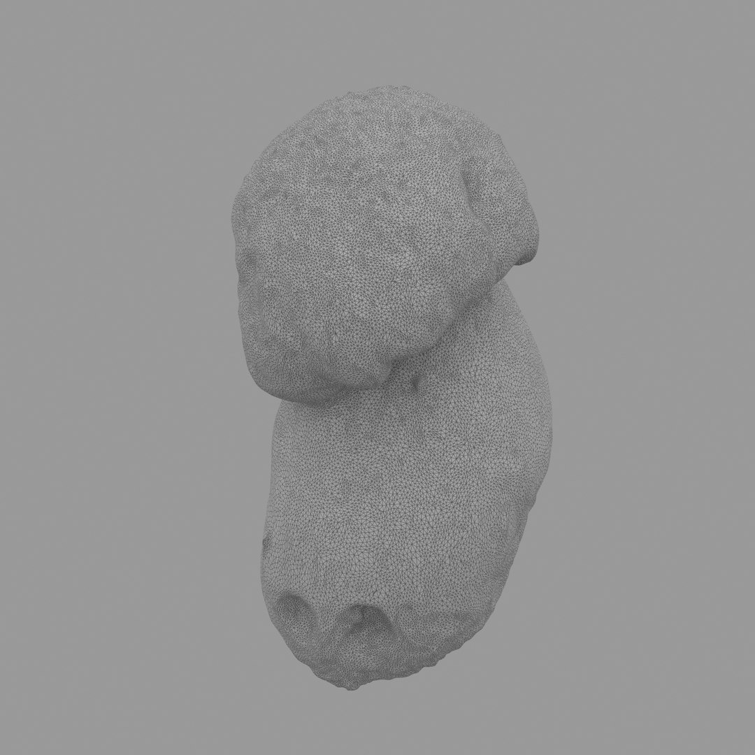 3D scan https://p.turbosquid.com/ts-thumb/mm/rRcrJY/jWf2FgsL/w06/jpg/1504683342/1920x1080/fit_q87/9c5b72372de7b8652ea3bdaa6117db9a5d11e8db/w06.jpg