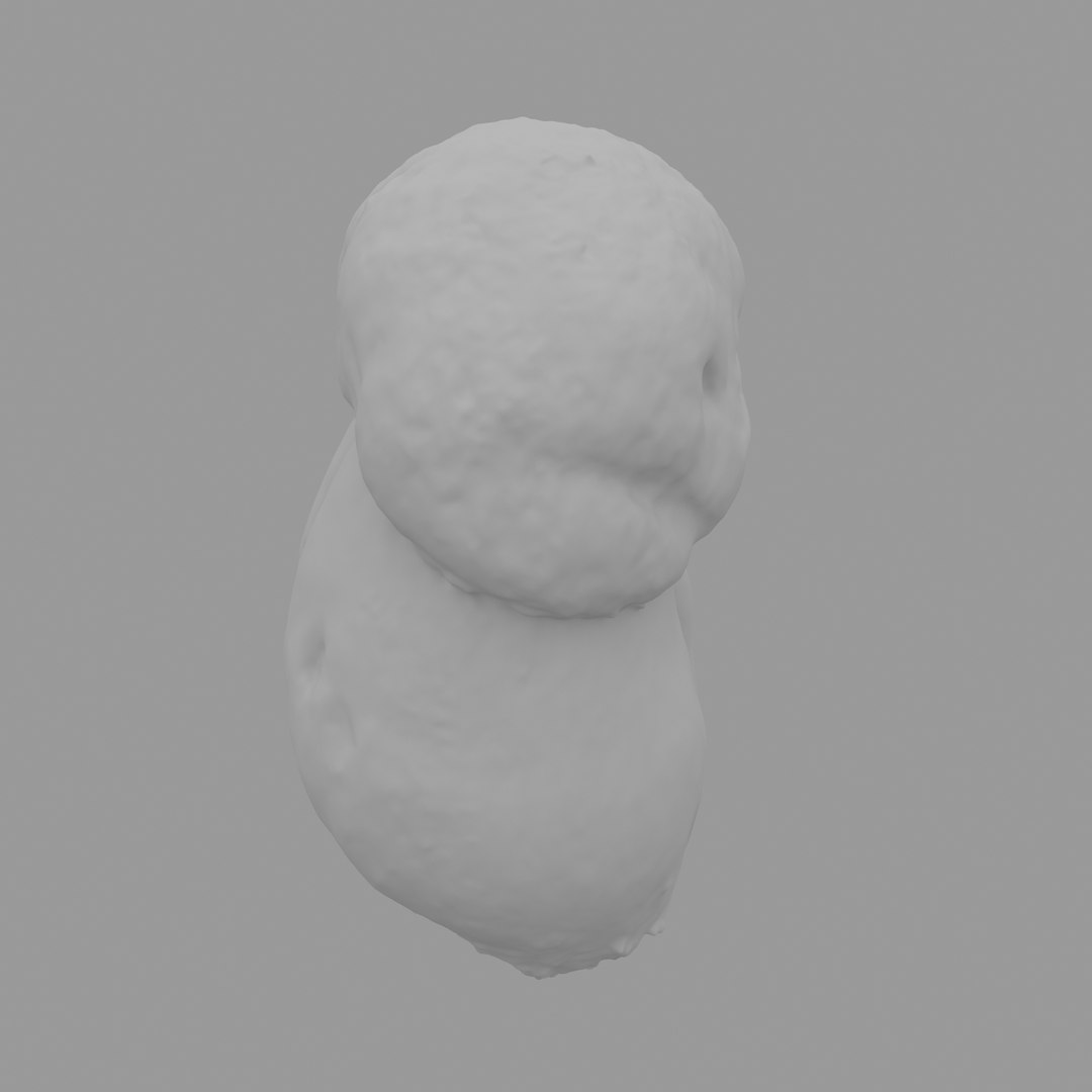 3D scan https://p.turbosquid.com/ts-thumb/mm/rRcrJY/rYMoLait/w04/jpg/1504683342/1920x1080/fit_q87/d5dd4446274392e6d06bb563913f621b9edde909/w04.jpg