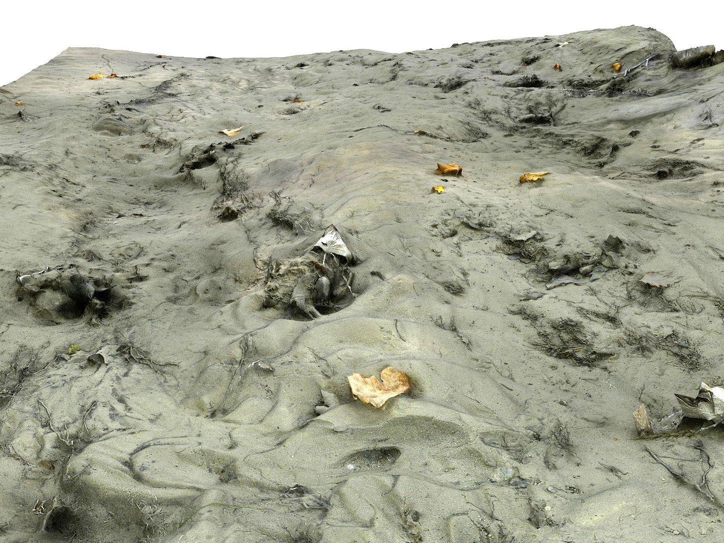 3D model riverbed rock mud tree https://p.turbosquid.com/ts-thumb/mm/yN1hXS/Pru0pKZu/09090/jpg/1537357535/1920x1080/fit_q87/3712129d212b7cd0b2c09c0a64e8b5c77233ac29/09090.jpg
