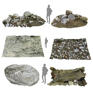 Riverbed Rock Mud Tree