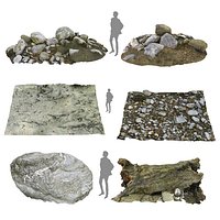 Riverbed Rock Mud Tree